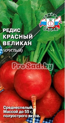 Редис Красный великан (Круглый)