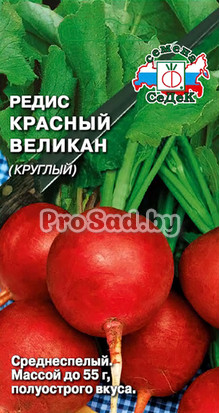 Редис Красный великан (Круглый)