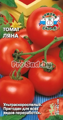 Томат Ляна