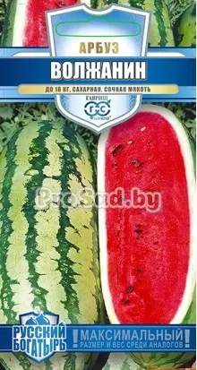 Арбуз Волжанин