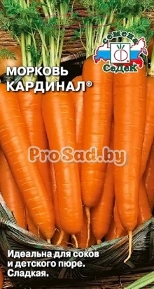 Морковь Кардинал