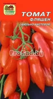 Томат Фляшен