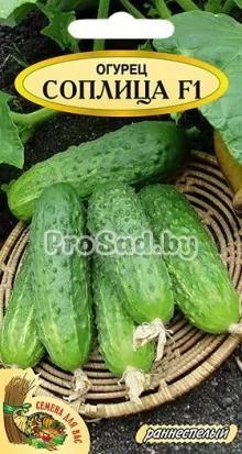 Огурец F1 Соплица