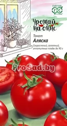 Томат Аляска