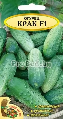 Огурец F1 Крак (Родничок) (Польша)