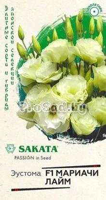 Эустома махровая Мариачи лайм F1