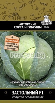 Капуста белокочанная F1 Застольный