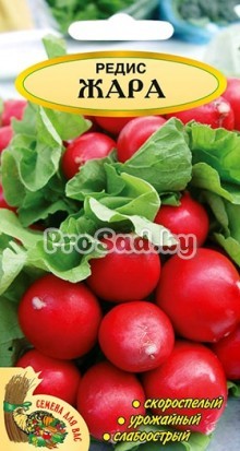 Редис Жара