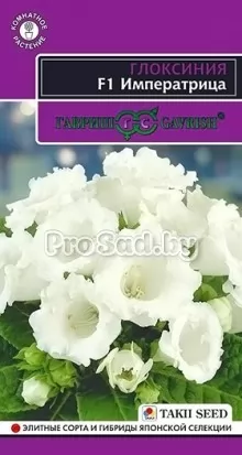 Глоксиния F1 Императрица