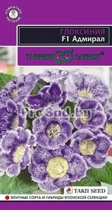 Глоксиния F1 Адмирал
