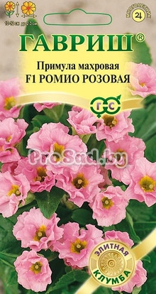 Примула F1 Ромио розовая