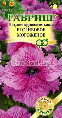 Петуния крупноцветковая F1 Мороженое Сливовое