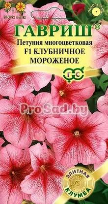 Петуния многоцветковая F1 Клубничное Мороженое