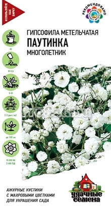 Гипсофила метельчатая Паутинка
