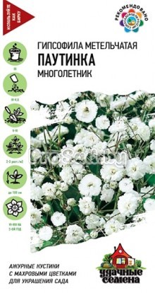 Гипсофила метельчатая Паутинка