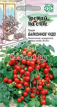 Томат Балконное чудо