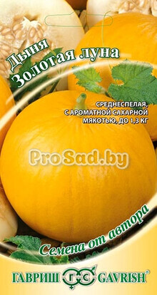 Дыня Золотая луна