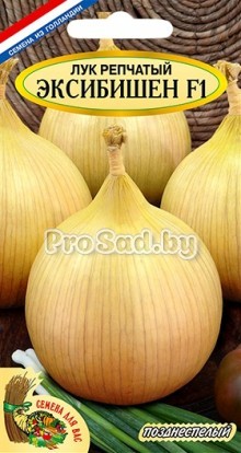 Лук репчатый Эксибишен (Голландия)