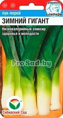Лук-порей Зимний гигант
