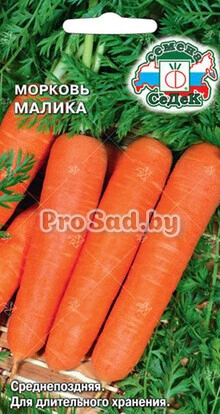 Морковь Малика