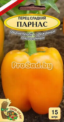 Перец сладкий Парнас