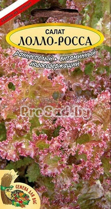 Салат листовой Лолло-Росса