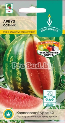 Арбуз Сотник