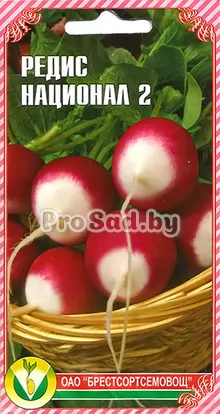 Редис Национал 2 (Франция)