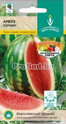 Арбуз Сотник