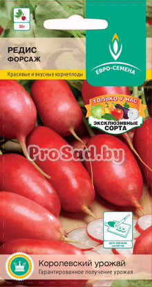 Редис Форсаж
