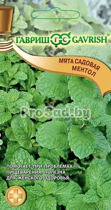 Мята садовая Ментол