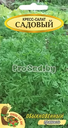Кресс-салат Садовый