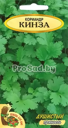 Кориандр Кинза