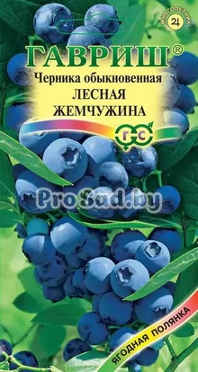 Черника обыкновенная Лесная жемчужина