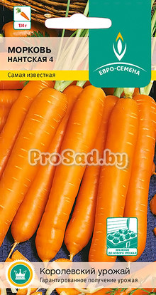 Морковь Нантская 4