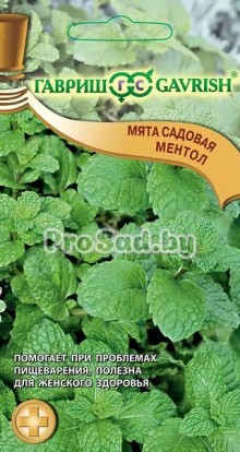 Мята садовая Ментол