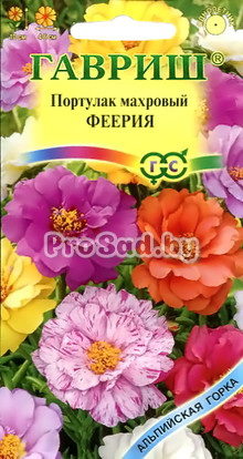 Портулак махровый Феерия, смесь