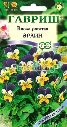 Виола рогатая (Анютины глазки) Эрлин