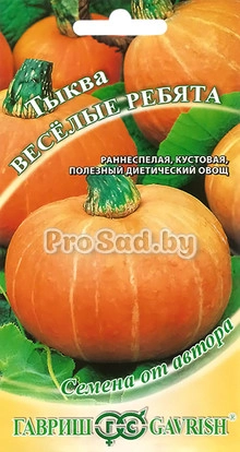 Тыква Весёлые ребята