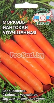 Морковь Нантская улучшенная