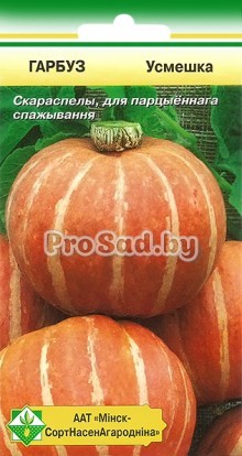 Тыква Улыбка