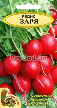 Редис Заря