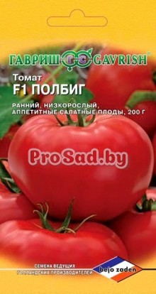 Томат F1 Полбиг