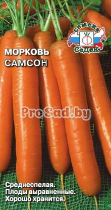 Морковь Самсон