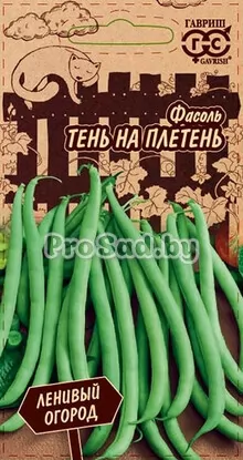 Фасоль спаржевая Тень на плетень