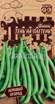 Фасоль спаржевая Тень на плетень