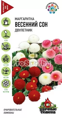 Маргаритка Весенний сон, смесь