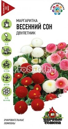 Маргаритка Весенний сон, смесь