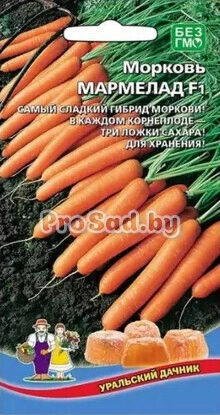 Морковь Мармелад F1