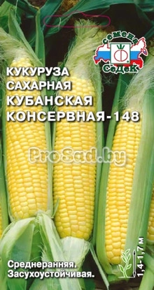 Кукуруза сахарная Кубанская консервная-148